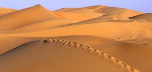 traces_pas_desert